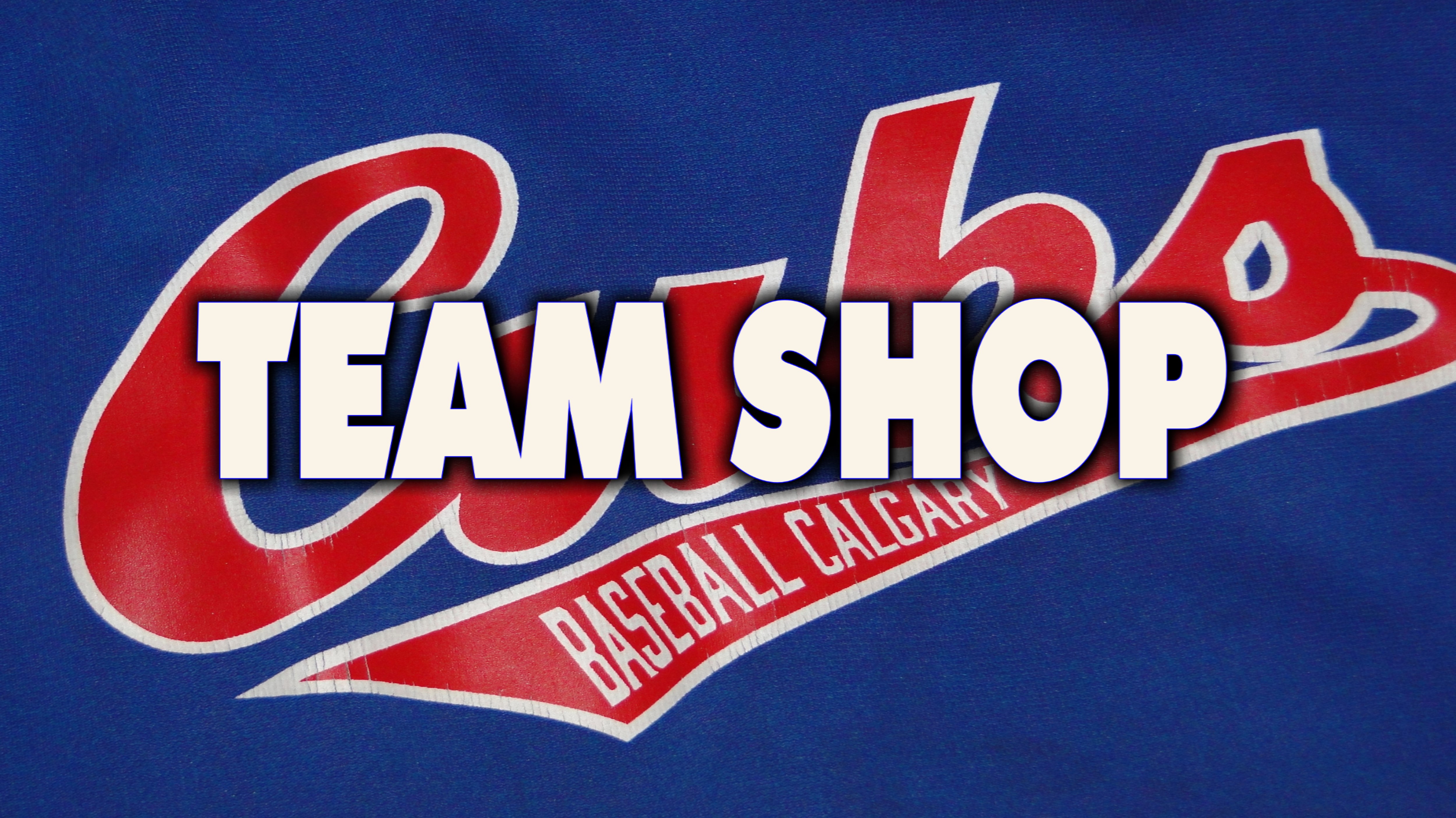 Baseball Calgary site by RAMP InterActive